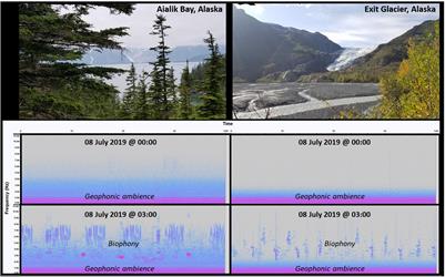 Perspectives on the Ecological Role of Geophysical Sounds